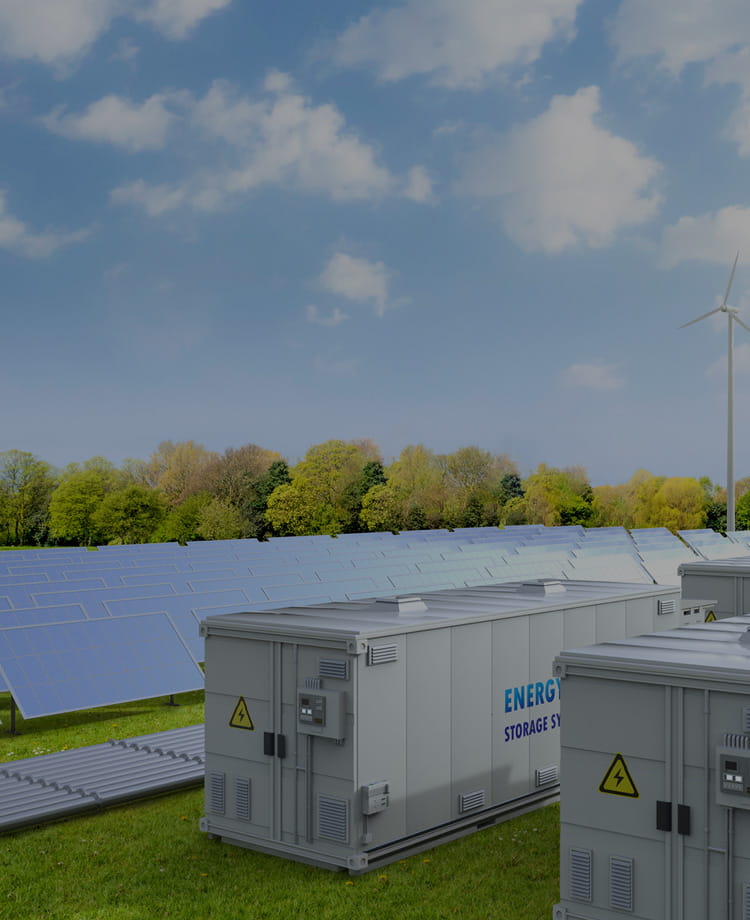 株式会社ドラゴンフライ｜社員の集合写真