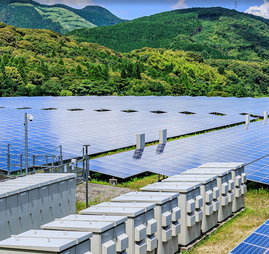 株式会社ドラゴンフライ｜社員の集合写真